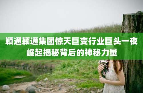颖通颖通集团惊天巨变行业巨头一夜崛起揭秘背后的神秘力量