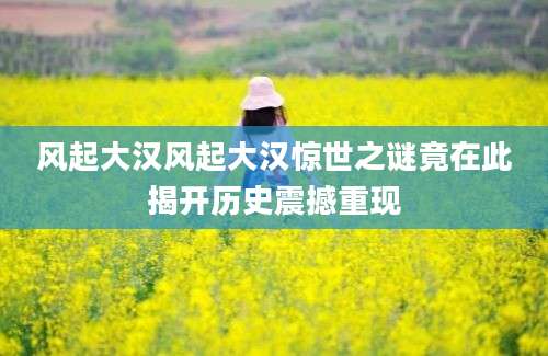 风起大汉风起大汉惊世之谜竟在此揭开历史震撼重现