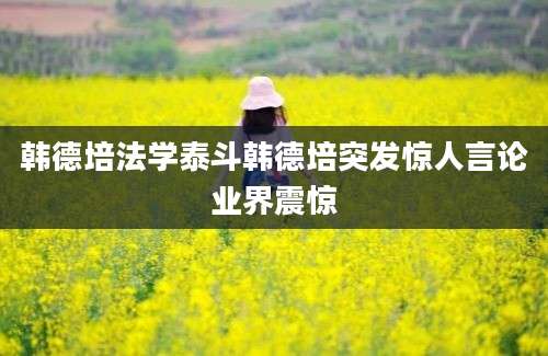 韩德培法学泰斗韩德培突发惊人言论业界震惊