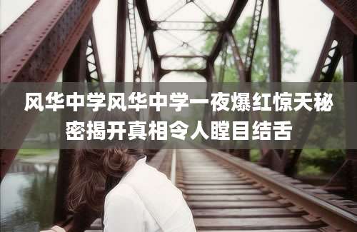 风华中学风华中学一夜爆红惊天秘密揭开真相令人瞠目结舌