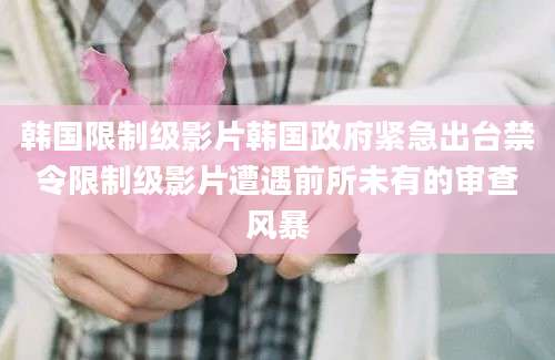 韩国限制级影片韩国政府紧急出台禁令限制级影片遭遇前所未有的审查风暴