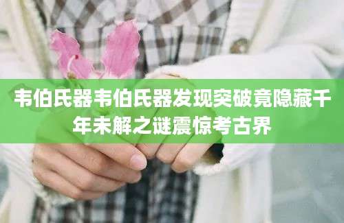 韦伯氏器韦伯氏器发现突破竟隐藏千年未解之谜震惊考古界
