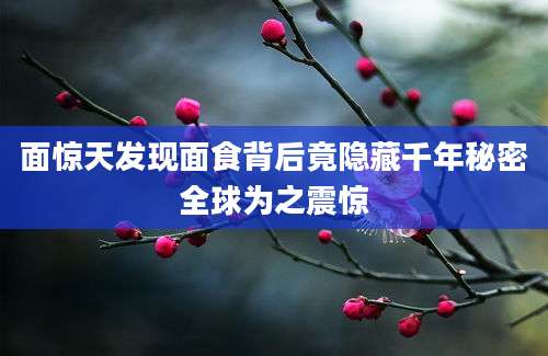 面惊天发现面食背后竟隐藏千年秘密全球为之震惊