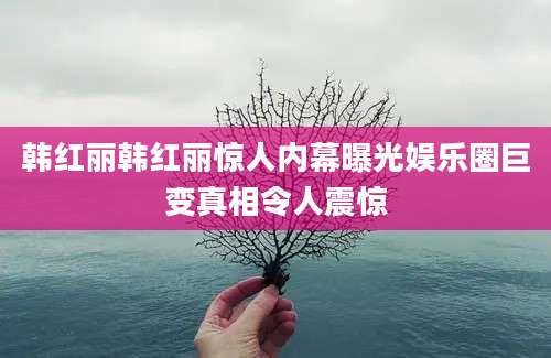 韩红丽韩红丽惊人内幕曝光娱乐圈巨变真相令人震惊