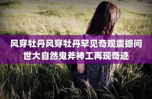 风穿牡丹风穿牡丹罕见奇观震撼问世大自然鬼斧神工再现奇迹