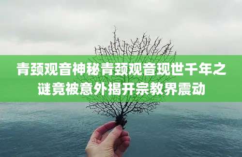 青颈观音神秘青颈观音现世千年之谜竟被意外揭开宗教界震动