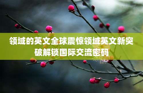 领域的英文全球震惊领域英文新突破解锁国际交流密码