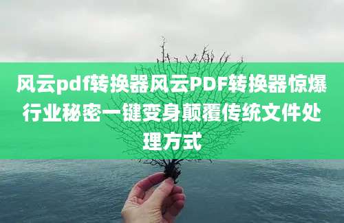 风云pdf转换器风云PDF转换器惊爆行业秘密一键变身颠覆传统文件处理方式