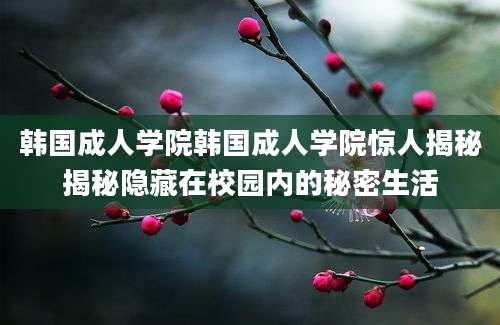 韩国成人学院韩国成人学院惊人揭秘揭秘隐藏在校园内的秘密生活
