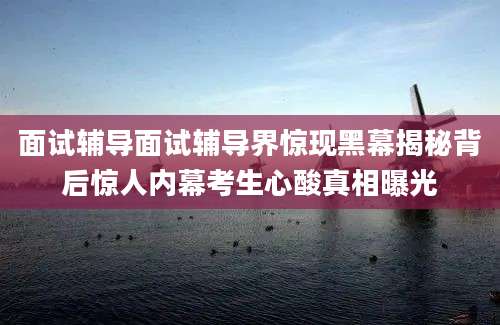 面试辅导面试辅导界惊现黑幕揭秘背后惊人内幕考生心酸真相曝光