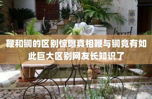 鞭和锏的区别惊曝真相鞭与锏竟有如此巨大区别网友长知识了