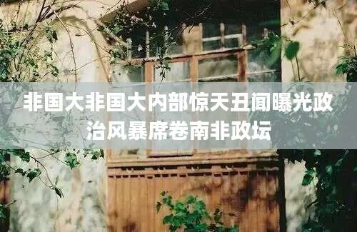 非国大非国大内部惊天丑闻曝光政治风暴席卷南非政坛
