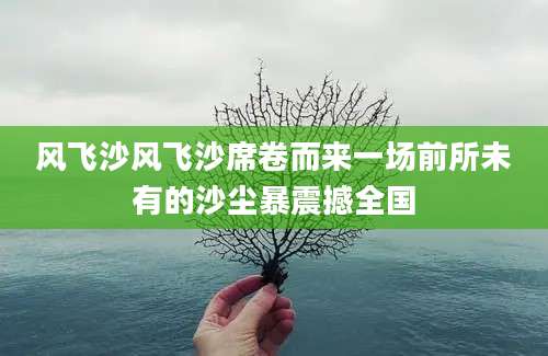 风飞沙风飞沙席卷而来一场前所未有的沙尘暴震撼全国