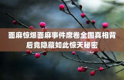 面麻惊爆面麻事件席卷全国真相背后竟隐藏如此惊天秘密