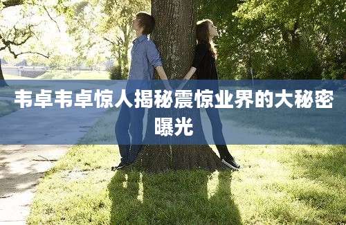 韦卓韦卓惊人揭秘震惊业界的大秘密曝光