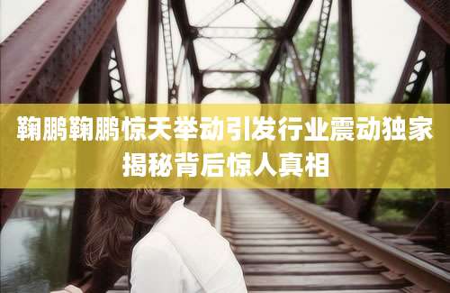 鞠鹏鞠鹏惊天举动引发行业震动独家揭秘背后惊人真相