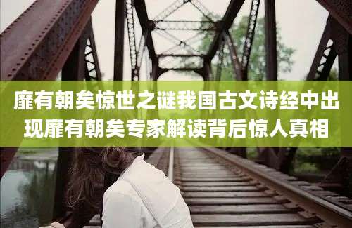 靡有朝矣惊世之谜我国古文诗经中出现靡有朝矣专家解读背后惊人真相
