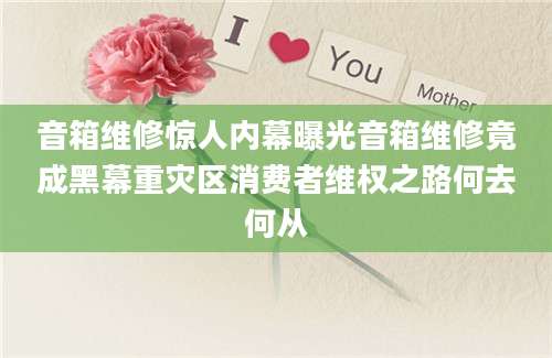音箱维修惊人内幕曝光音箱维修竟成黑幕重灾区消费者维权之路何去何从