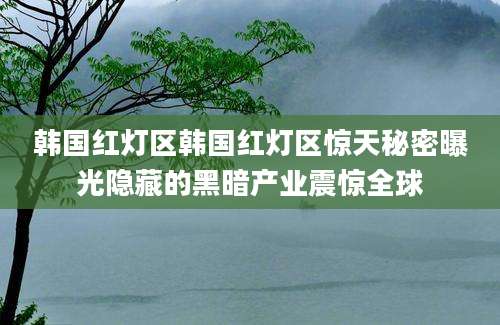 韩国红灯区韩国红灯区惊天秘密曝光隐藏的黑暗产业震惊全球