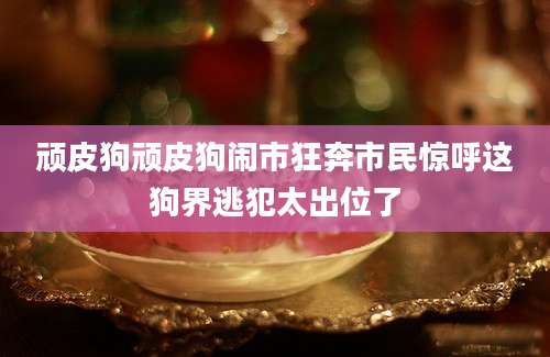 顽皮狗顽皮狗闹市狂奔市民惊呼这狗界逃犯太出位了