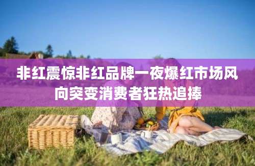 非红震惊非红品牌一夜爆红市场风向突变消费者狂热追捧