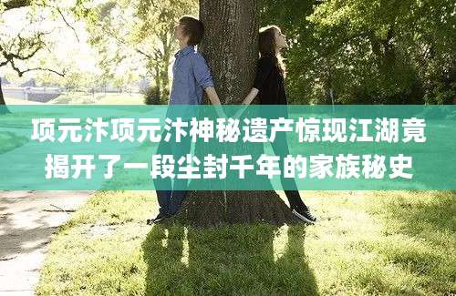 项元汴项元汴神秘遗产惊现江湖竟揭开了一段尘封千年的家族秘史