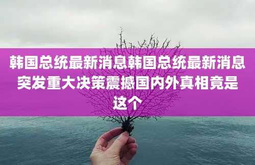 韩国总统最新消息韩国总统最新消息突发重大决策震撼国内外真相竟是这个