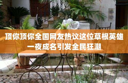 顶你顶你全国网友热议这位草根英雄一夜成名引发全民狂潮