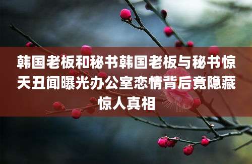 韩国老板和秘书韩国老板与秘书惊天丑闻曝光办公室恋情背后竟隐藏惊人真相