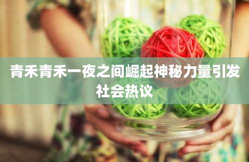青禾青禾一夜之间崛起神秘力量引发社会热议