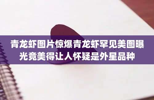 青龙虾图片惊爆青龙虾罕见美图曝光竟美得让人怀疑是外星品种