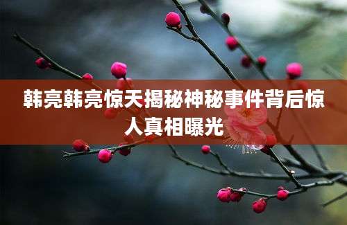韩亮韩亮惊天揭秘神秘事件背后惊人真相曝光