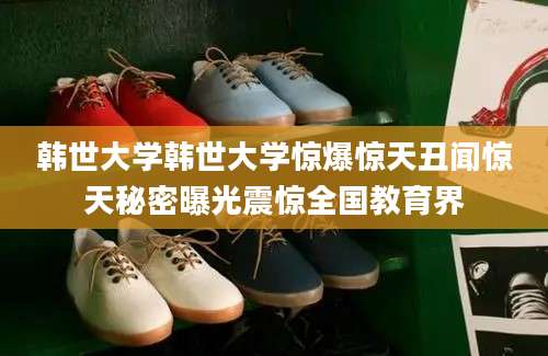 韩世大学韩世大学惊爆惊天丑闻惊天秘密曝光震惊全国教育界