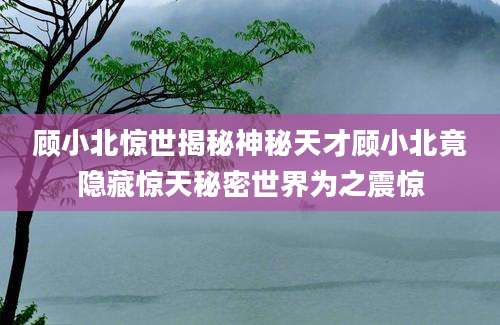 顾小北惊世揭秘神秘天才顾小北竟隐藏惊天秘密世界为之震惊