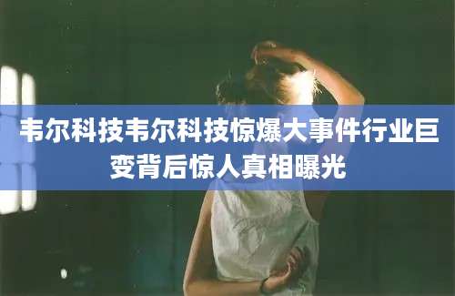 韦尔科技韦尔科技惊爆大事件行业巨变背后惊人真相曝光