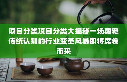 项目分类项目分类大揭秘一场颠覆传统认知的行业变革风暴即将席卷而来