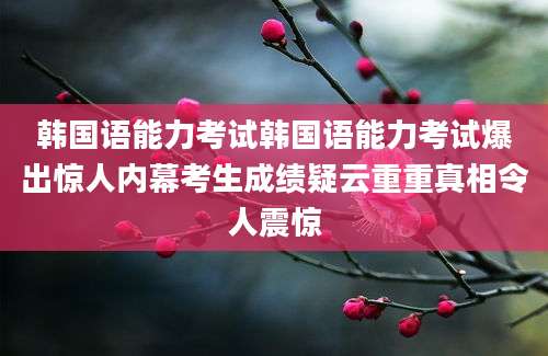 韩国语能力考试韩国语能力考试爆出惊人内幕考生成绩疑云重重真相令人震惊