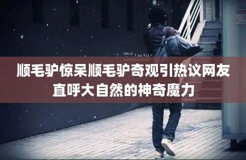 顺毛驴惊呆顺毛驴奇观引热议网友直呼大自然的神奇魔力