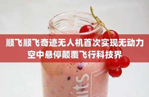 顺飞顺飞奇迹无人机首次实现无动力空中悬停颠覆飞行科技界