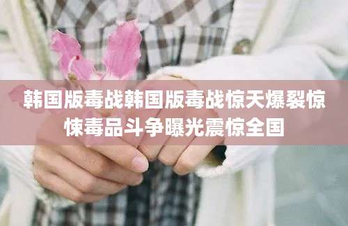 韩国版毒战韩国版毒战惊天爆裂惊悚毒品斗争曝光震惊全国