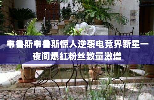 韦鲁斯韦鲁斯惊人逆袭电竞界新星一夜间爆红粉丝数量激增