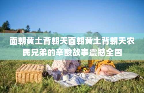面朝黄土背朝天面朝黄土背朝天农民兄弟的辛酸故事震撼全国