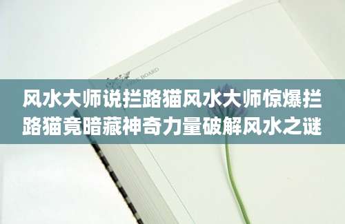 风水大师说拦路猫风水大师惊爆拦路猫竟暗藏神奇力量破解风水之谜