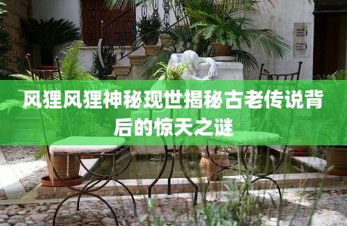 风狸风狸神秘现世揭秘古老传说背后的惊天之谜