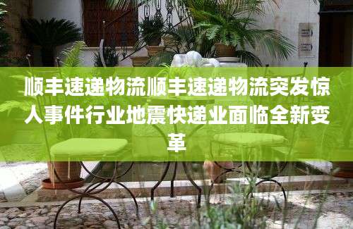 顺丰速递物流顺丰速递物流突发惊人事件行业地震快递业面临全新变革