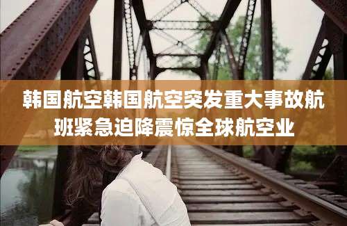 韩国航空韩国航空突发重大事故航班紧急迫降震惊全球航空业
