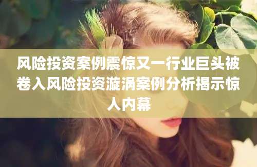 风险投资案例震惊又一行业巨头被卷入风险投资漩涡案例分析揭示惊人内幕