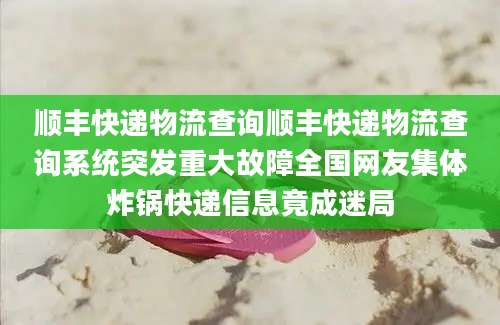 顺丰快递物流查询顺丰快递物流查询系统突发重大故障全国网友集体炸锅快递信息竟成迷局