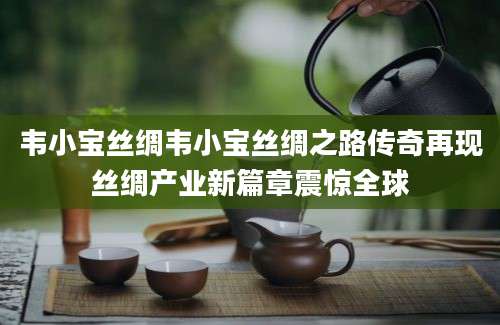 韦小宝丝绸韦小宝丝绸之路传奇再现丝绸产业新篇章震惊全球