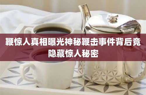 鞭惊人真相曝光神秘鞭击事件背后竟隐藏惊人秘密